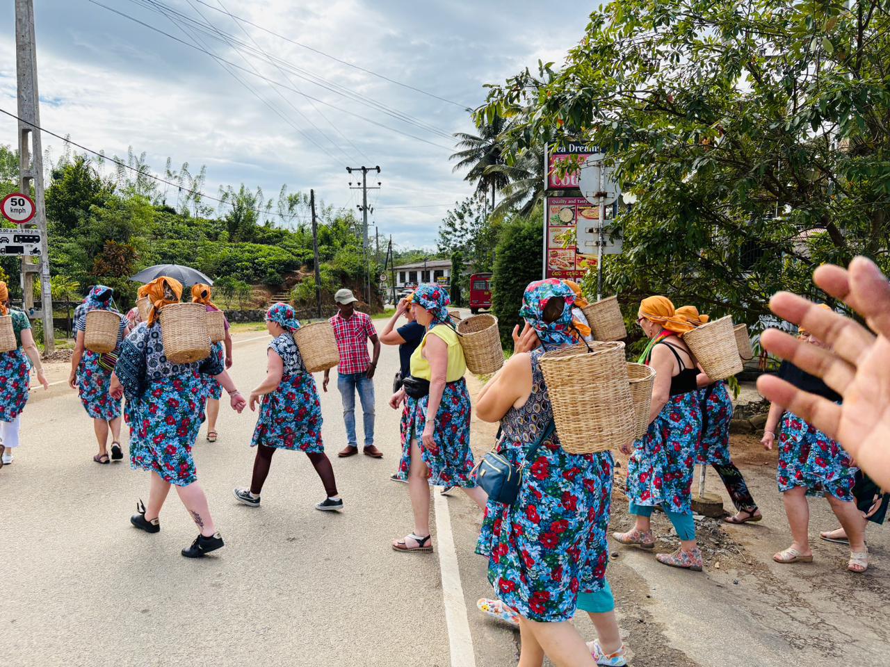 Tea Picking Experience
