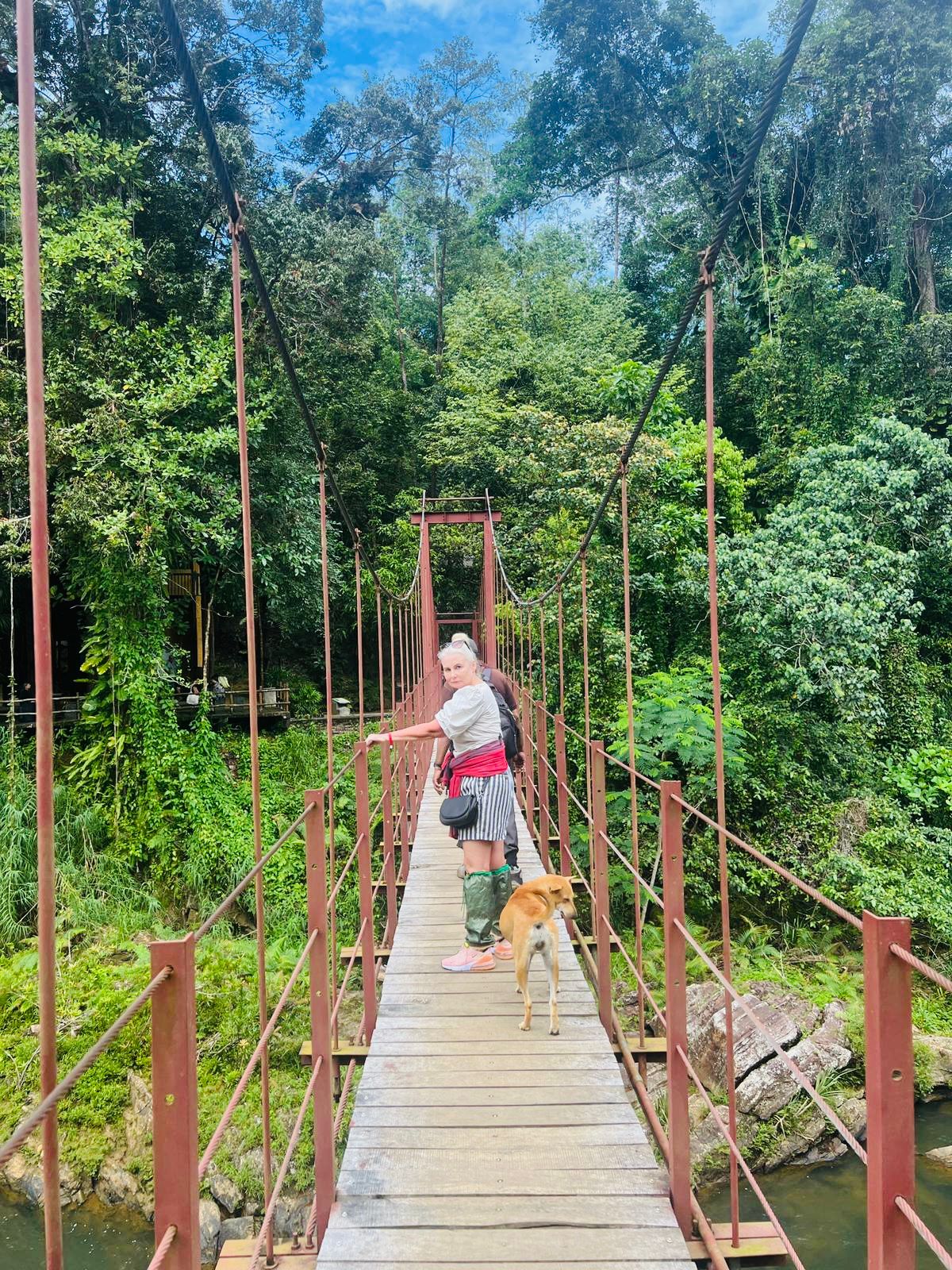 Sinharaja Forest Trek